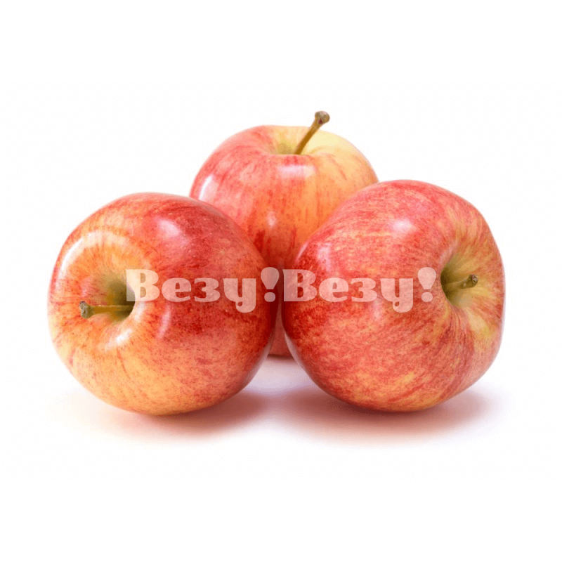 Везу! ВЕЗУ! (1) (1) (1)