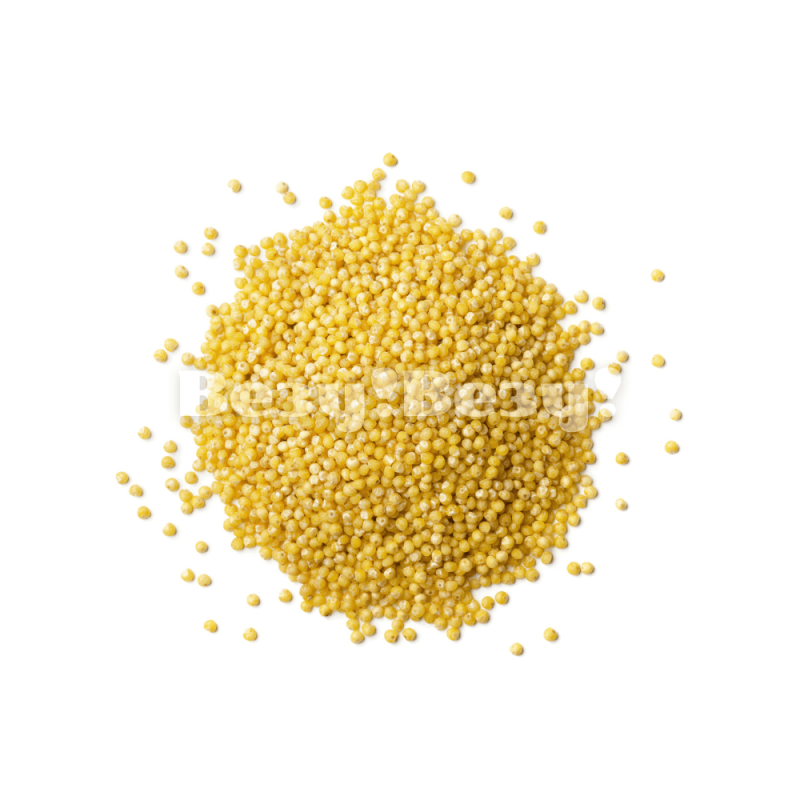 пшено злак +