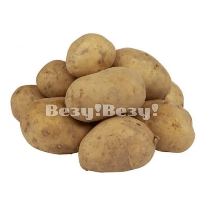 Везу! ВЕЗУ! (2) (1)