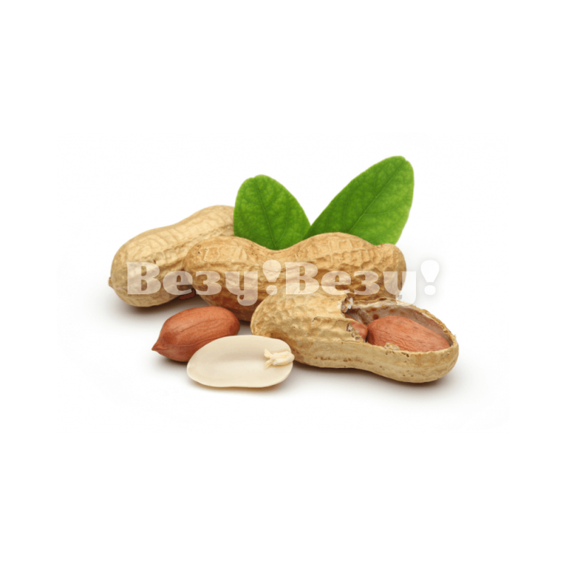 земляной орех