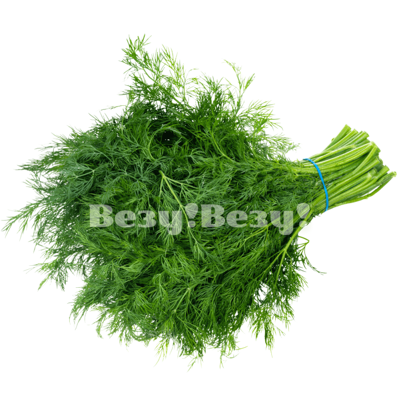 Везу! ВЕЗУ! (1) (1) (1) (1) (1) (1) (1) (1) (1)