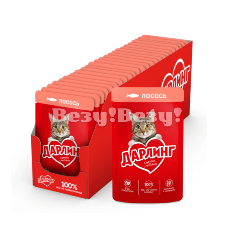 Корм для кошек доставка Рудный