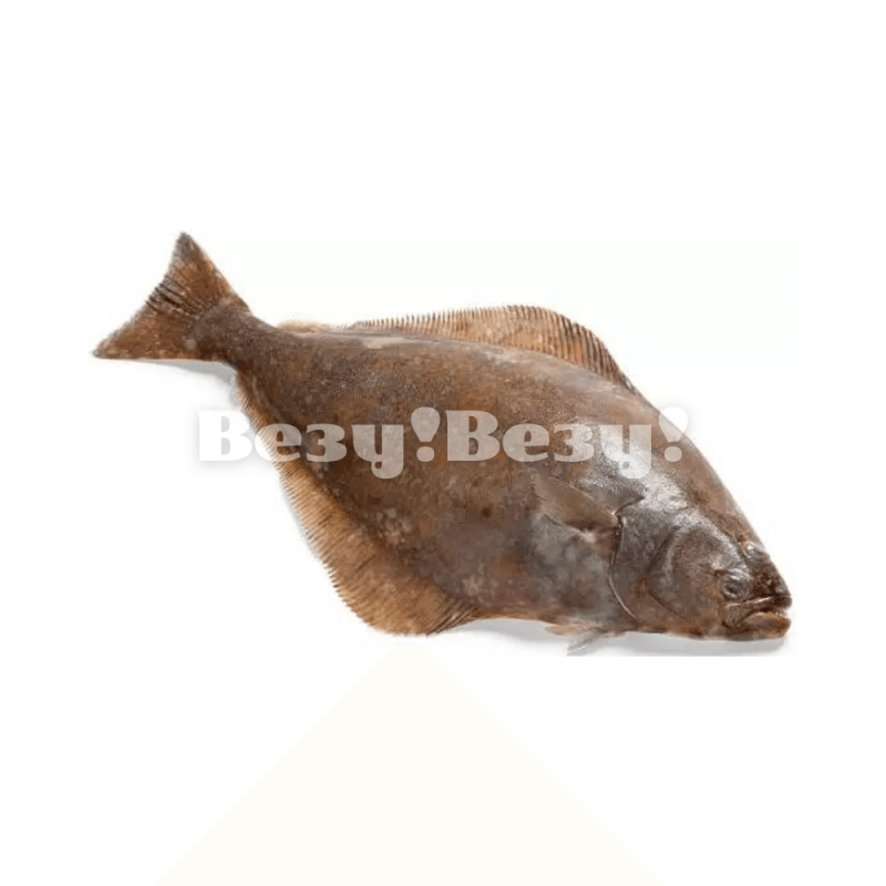 Камбала свежемороженая