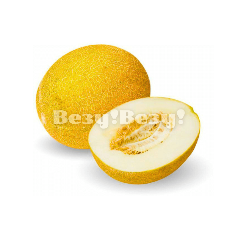 Дыня колхозница Рудный