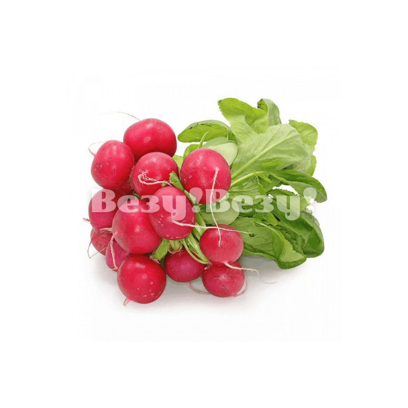 редис в Рудном