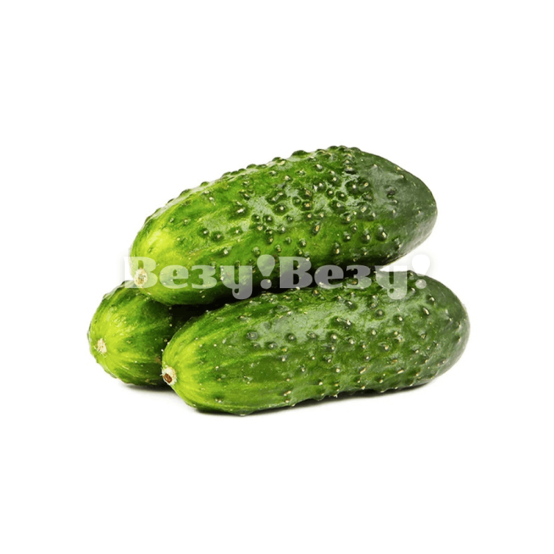 Везу! Везу! (10) (1)