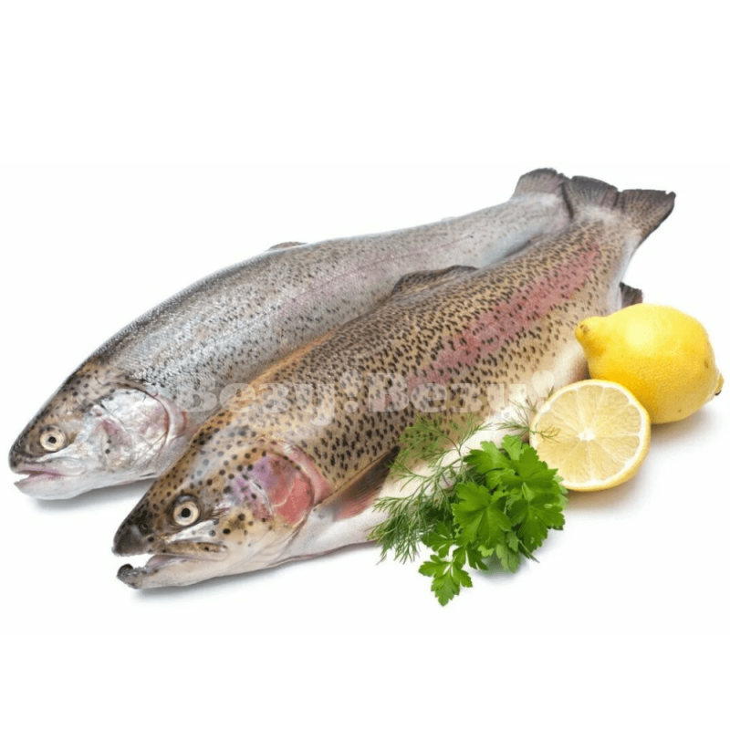 Везу! ВЕЗУ! (1)-min