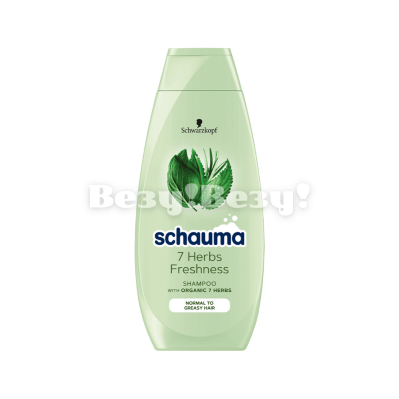 aaa