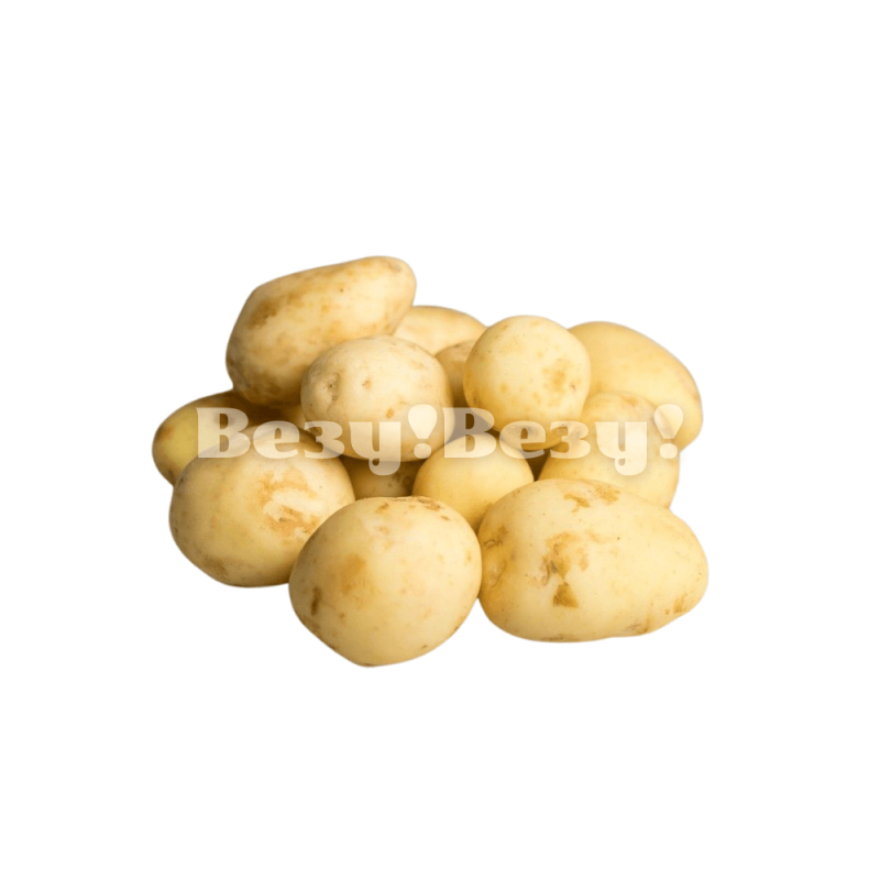 картофель молодой доставка